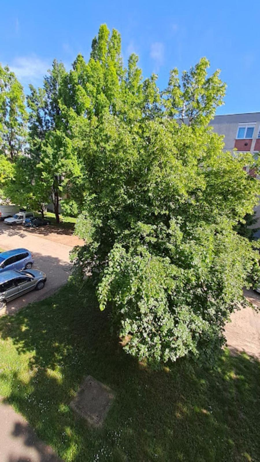 Szilfak City Apartman ไฮจ์ดุสโซบอสโล ภายนอก รูปภาพ